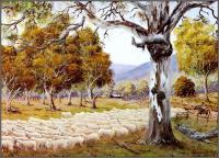 George Phillips - Australian Bush